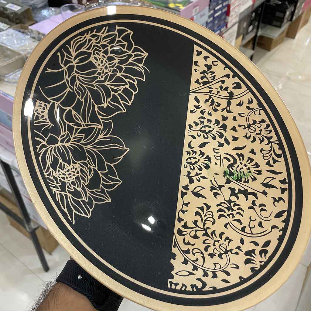 دیس بیضی طرحدار